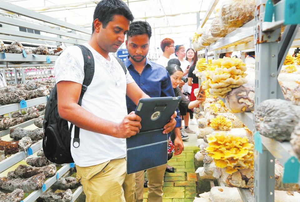 1575248282542071.jpg timg.jpg